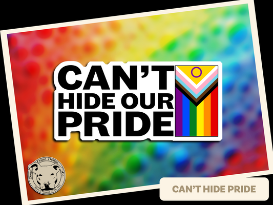 Can't Hide Pride