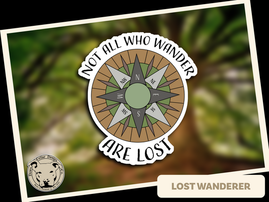 Lost Wanderer